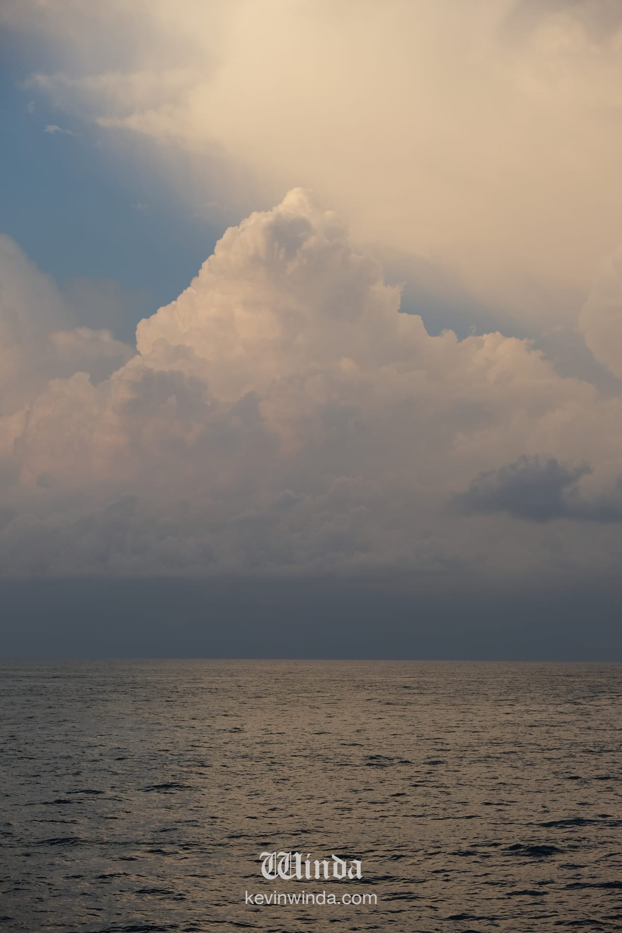 Philosophical Reflection in the Age of Accelerated Singularity - Seagull Kevin Winda