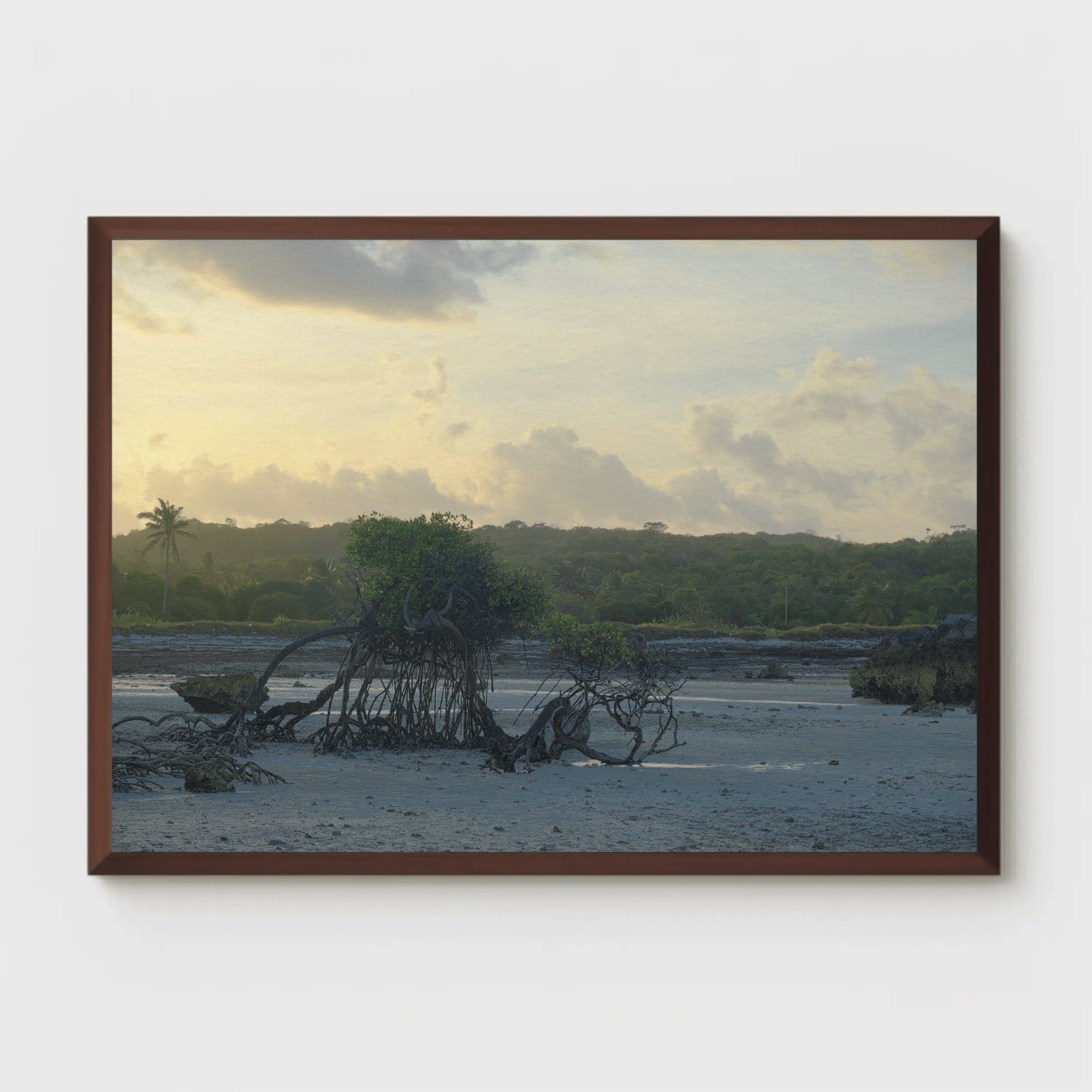 Prehistoric landscape beach tree canvas photo print, Indonesia sunset wall art