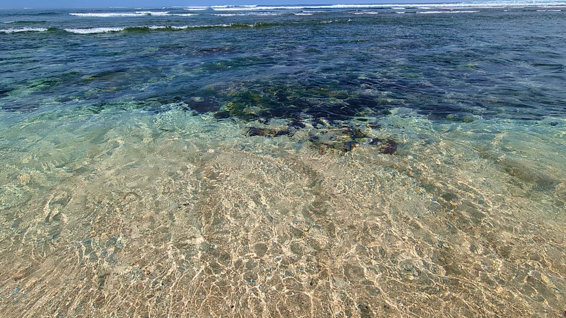 Green Bowl Beach coral reefs