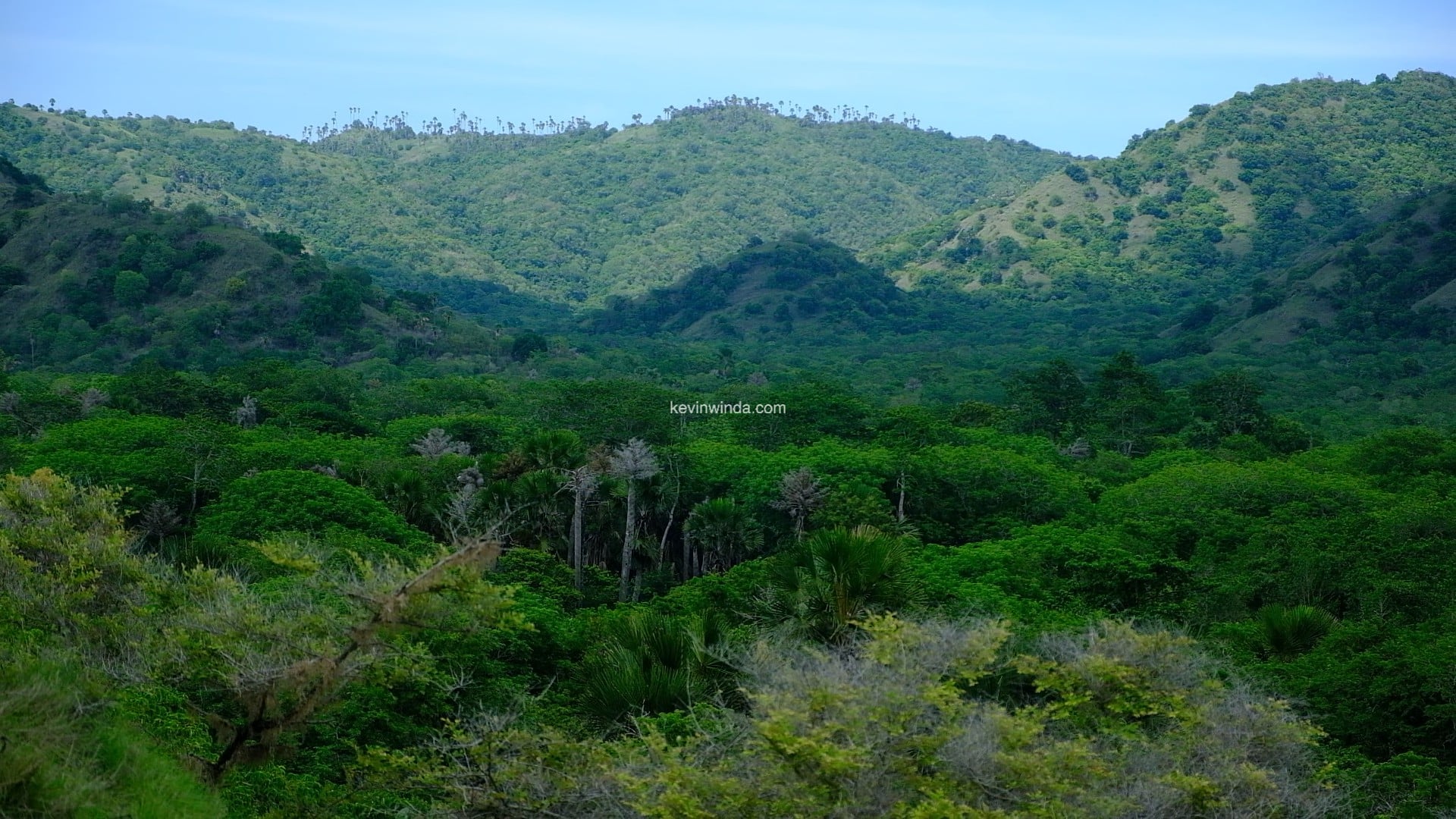 Komodo Island Tour, National Park, shot0096