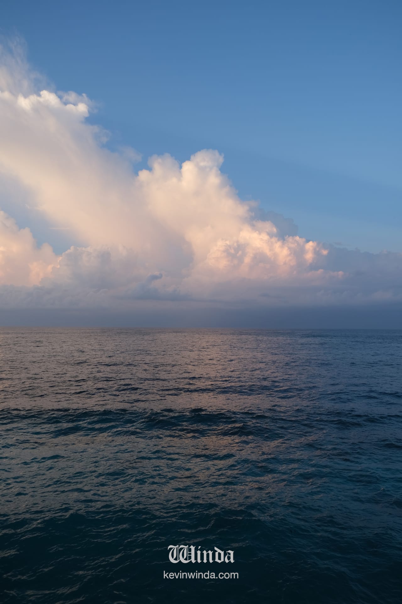 The science behind horizon gazing: evolutionary roots in safety scanning and neurological benefits of panoramic vision for stress reduction and calm