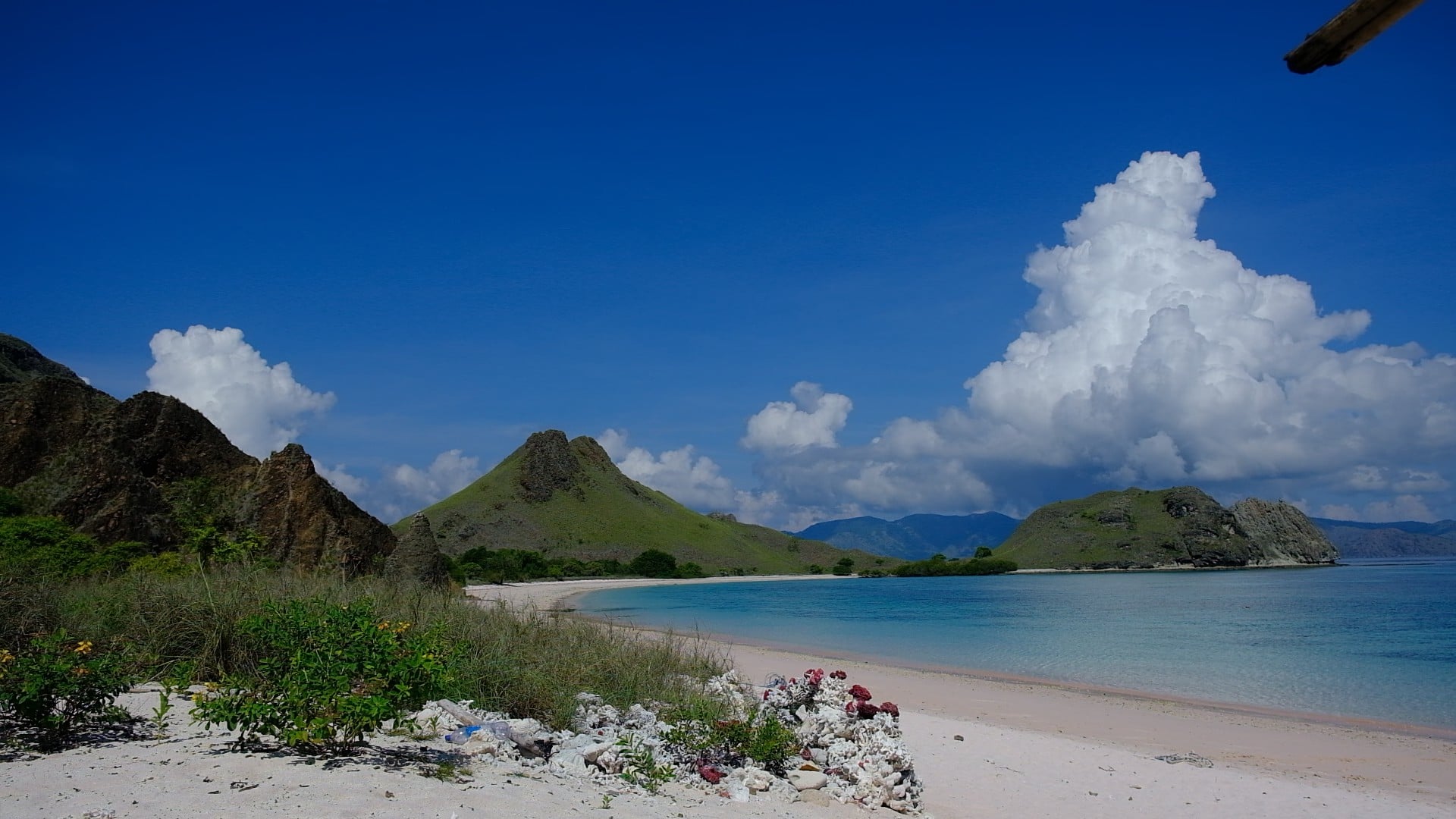 Pink Beach, Komodo Tour from Bali | Labuan Bajo Flores Sailing Trip