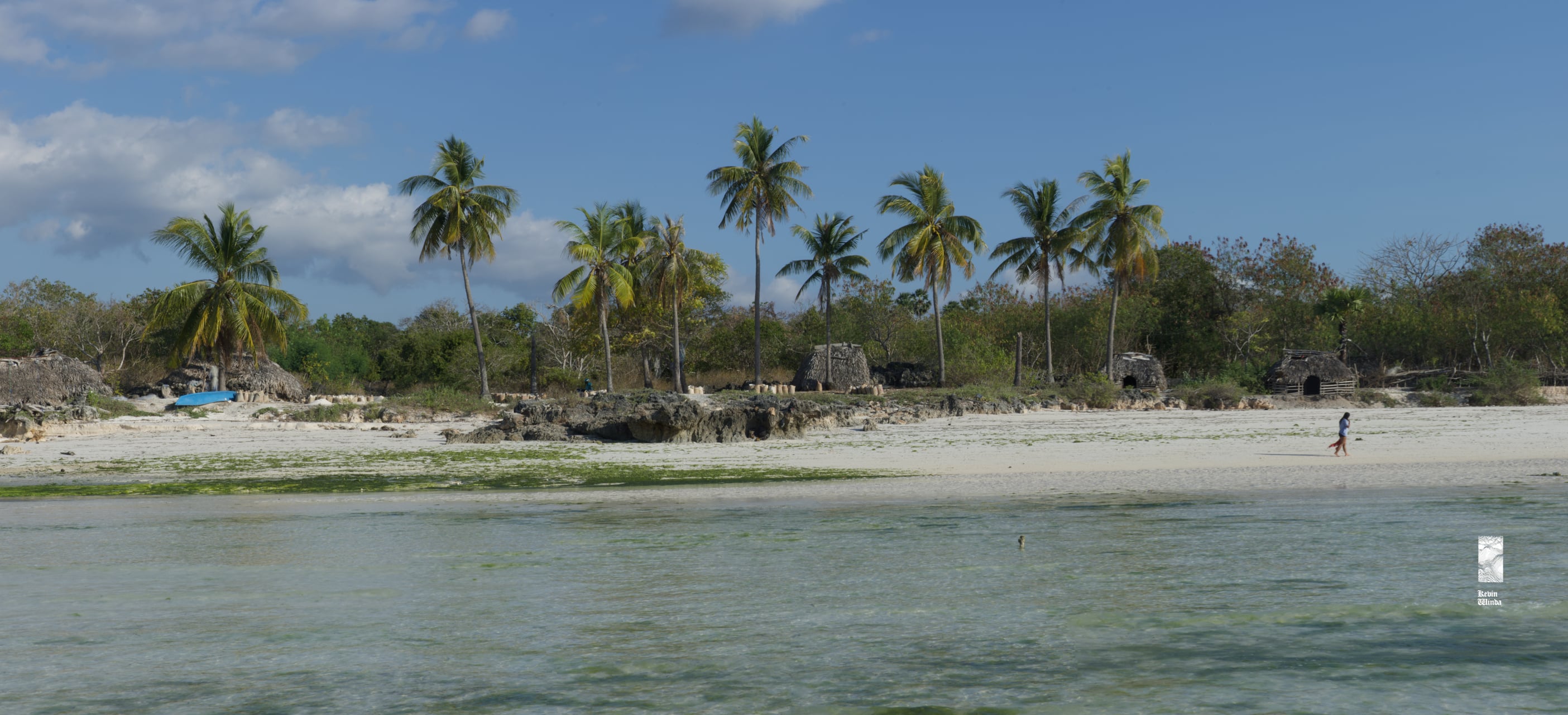 Rote Island Indonesia wild ocean beach tide, palms | Kevin Winda wellness, spiritual travel