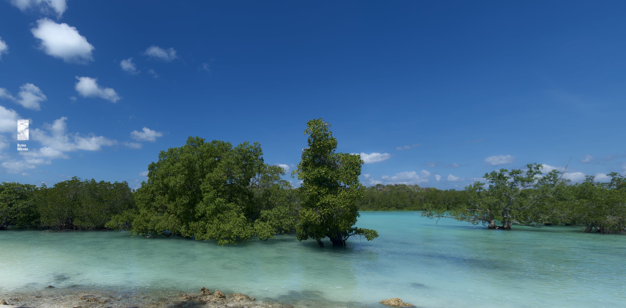 Rote Island Indonesia blue clear water ocean beach, mangrove trees | Kevin Winda wellness spiritual travel