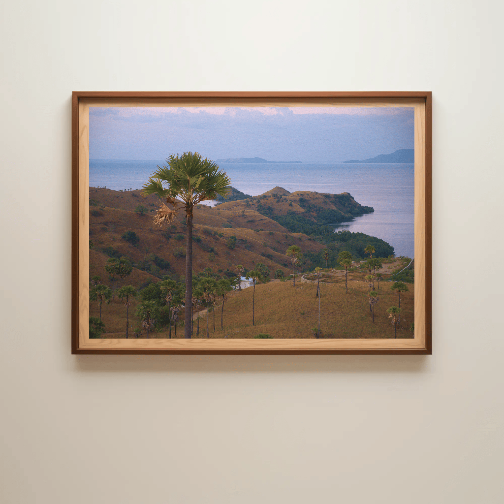 Komodo Islands tropical landscape palm tree wall photo print premium paper canvas