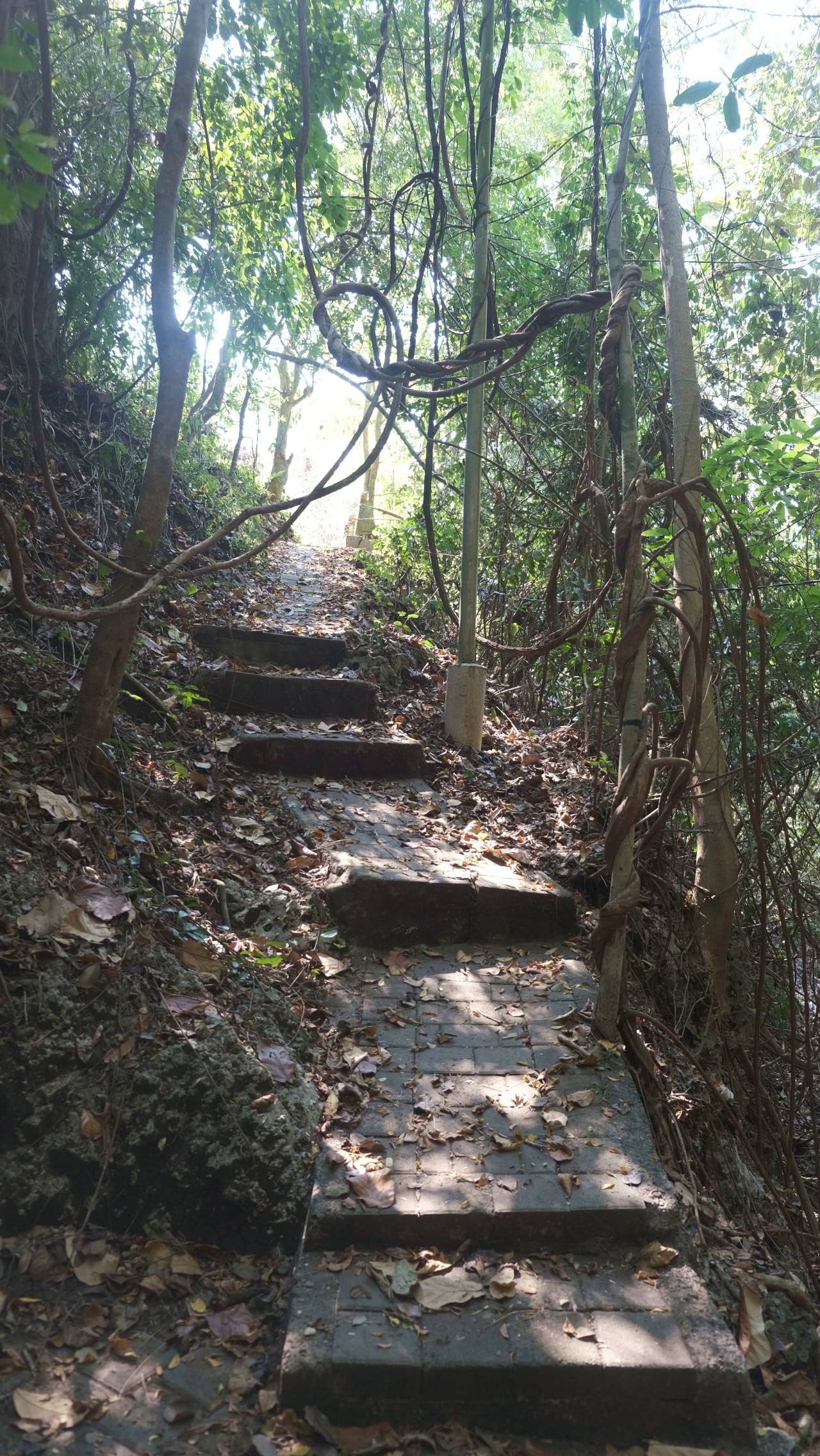 Bali Temples - Uluwatu Rock Temple on a Cliff Hidden, Balinese Hindu, Jungle Temple steps, DSCF0067
