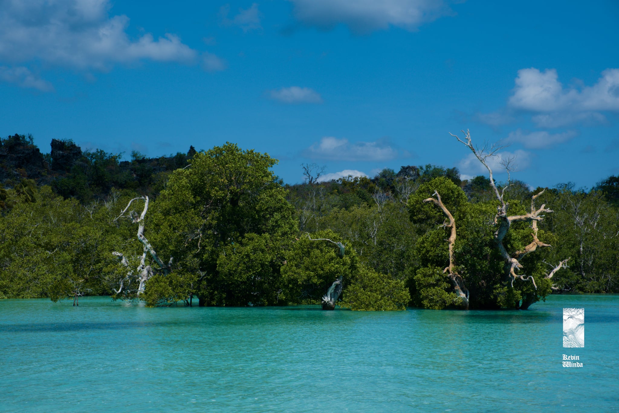 Rote Island retreat, nature connection tour, blue water ocean beach, mangrove trees | Kevin Winda wellness courses, spiritual travel