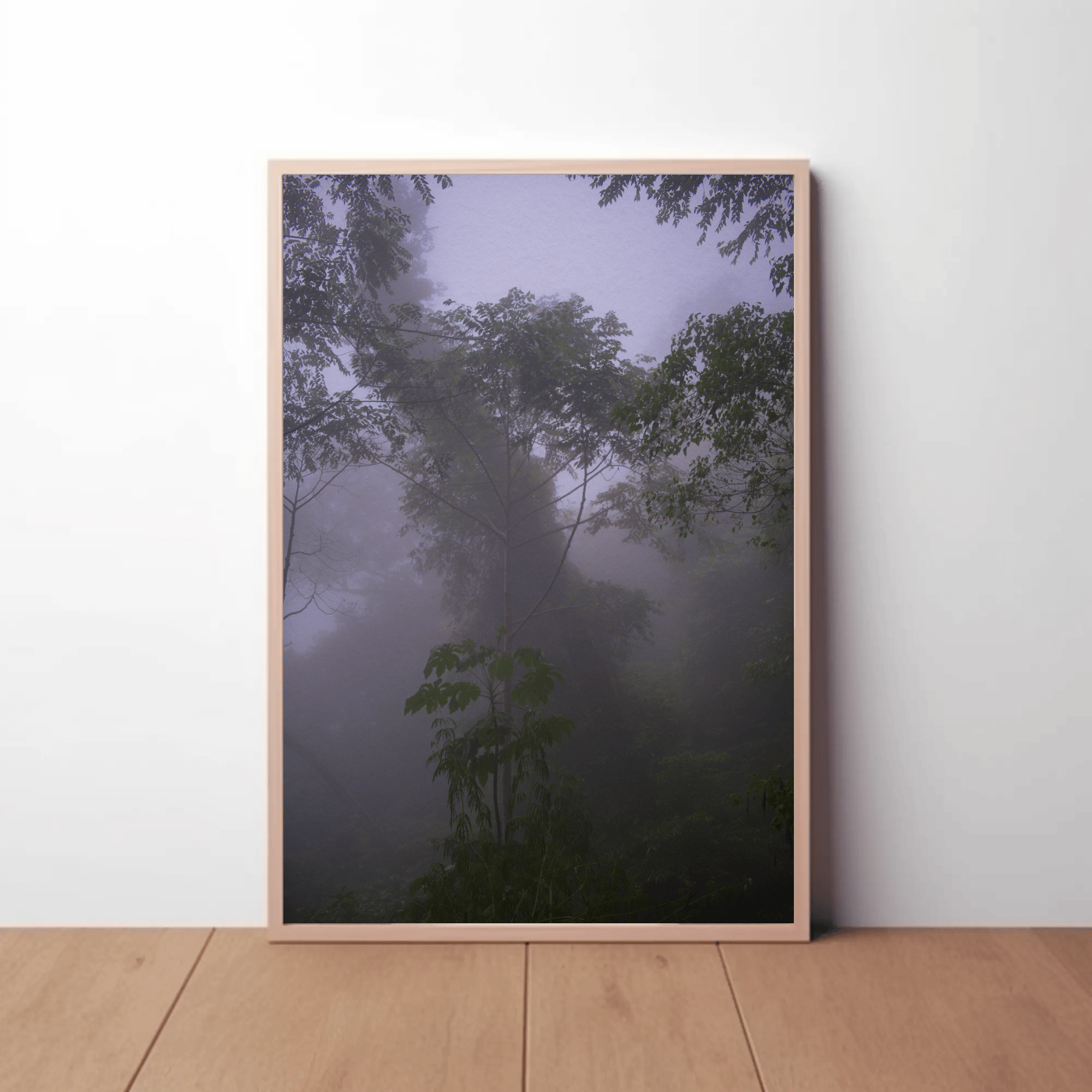 Jungle fog trees high quality canvas photo print, East Nusa Tenggara, framed mockup 9 | Kevin Winda Wellness
