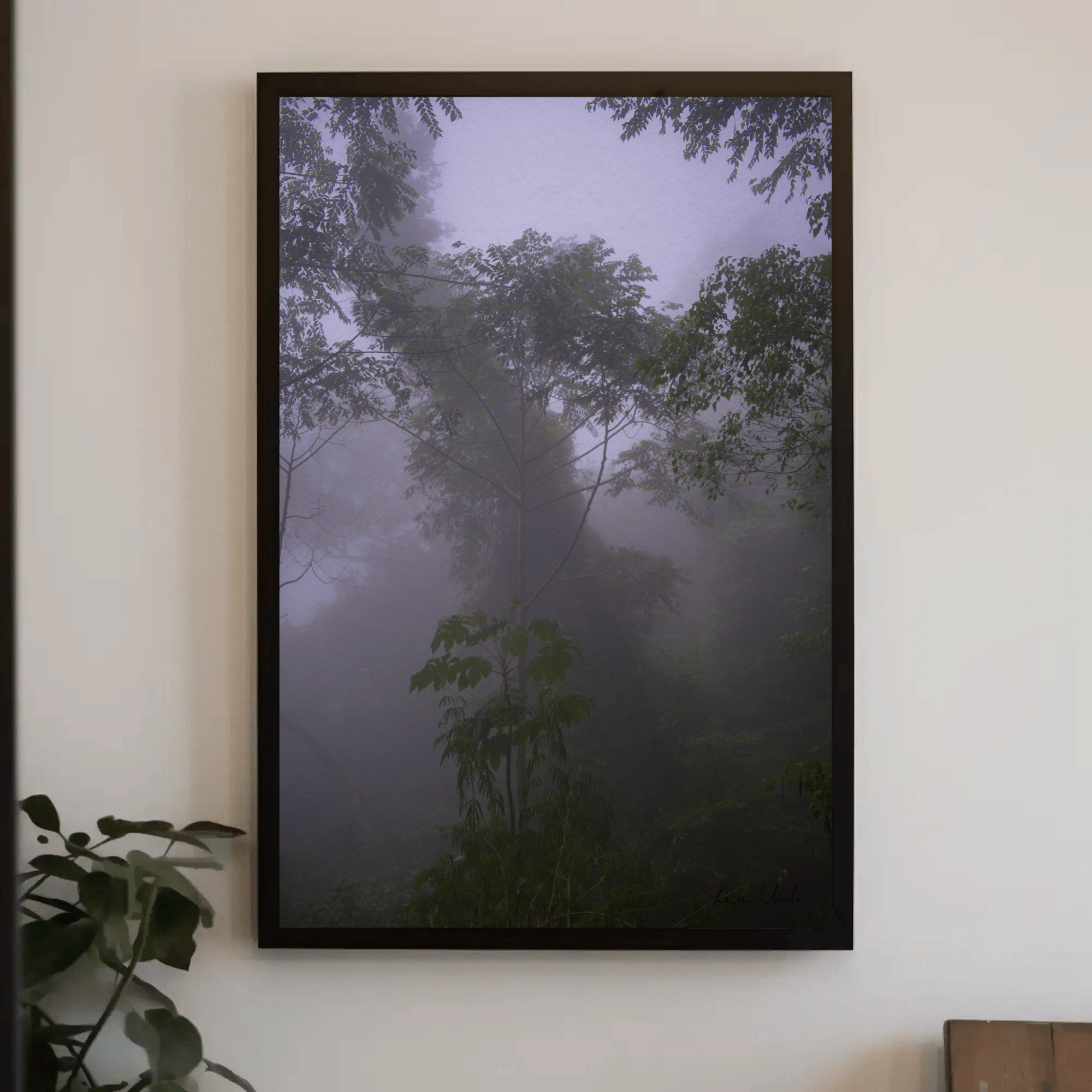 Dark Foggy Jungle high resolution canvas  photo print , Flores Island, Indonesia, interior mockup 22 | Kevin Winda