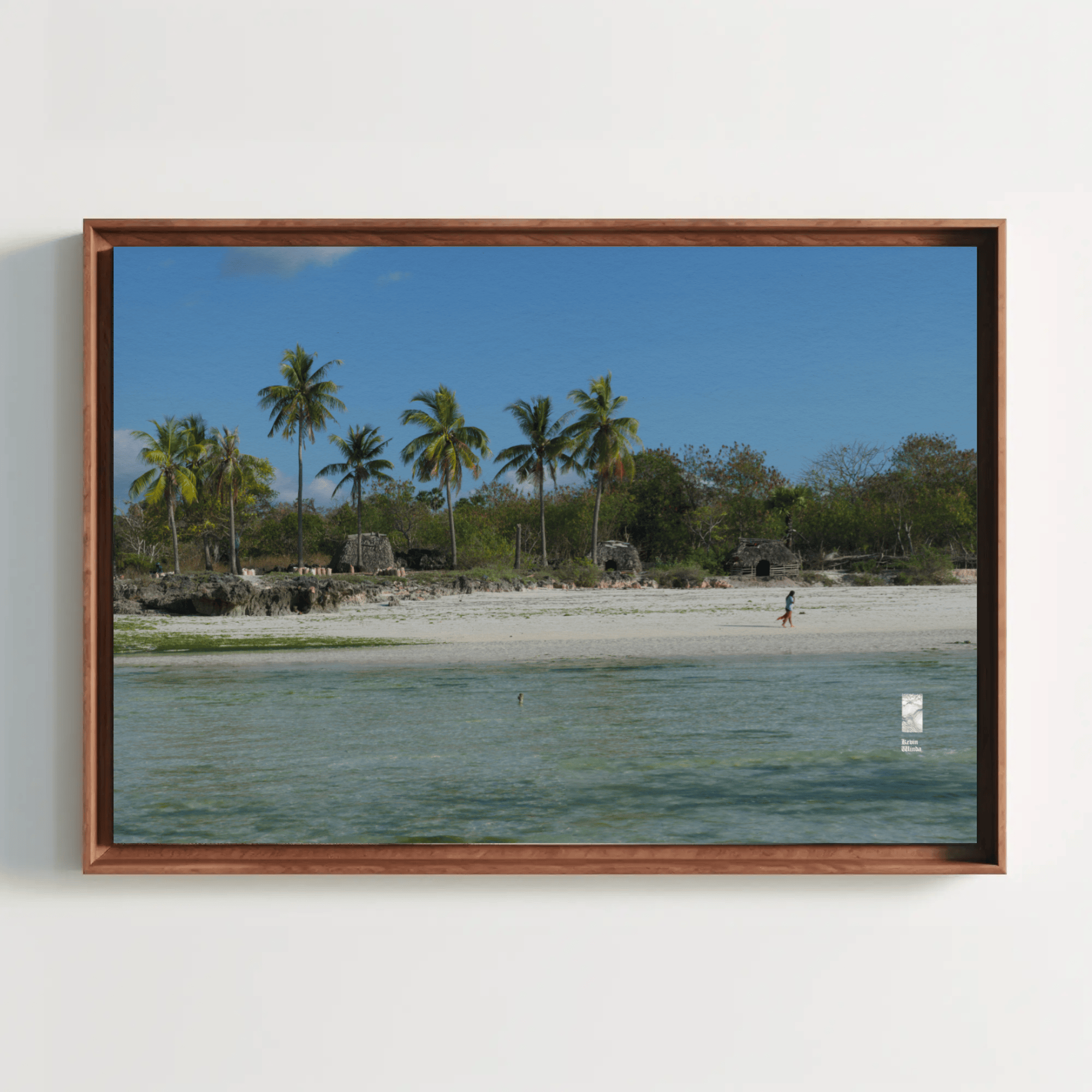 Beach canvas palms coconut trees low tide Rote Island