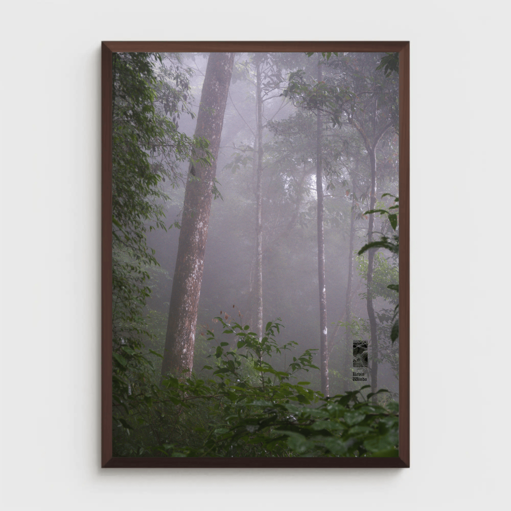 Jungle fog forest trees canvas Flores Island