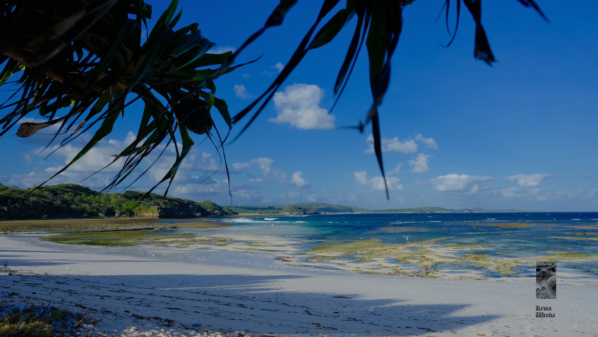 Rote Island beach low tide, coastal white sand, coral reefs | Kevin Winda Wellness 