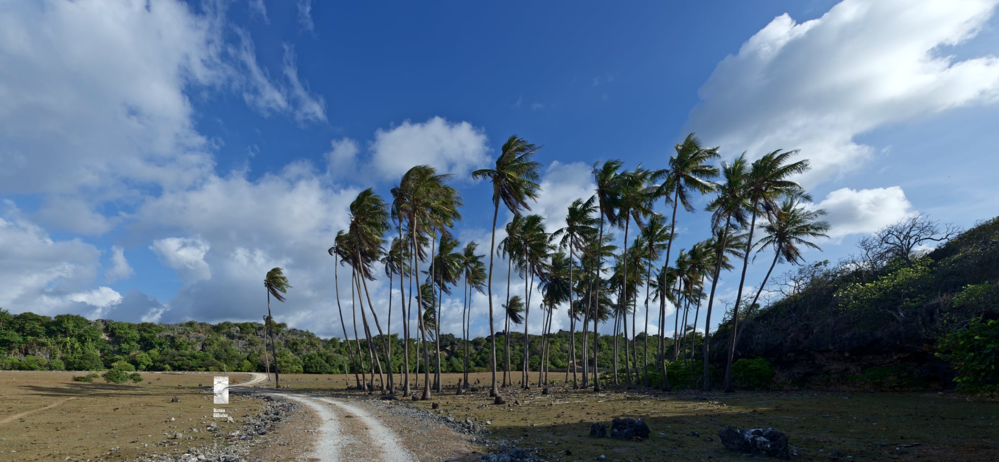 Rote Island tour, bike trip, palms, wild nature | Kevin Winda wellness spiritual travel